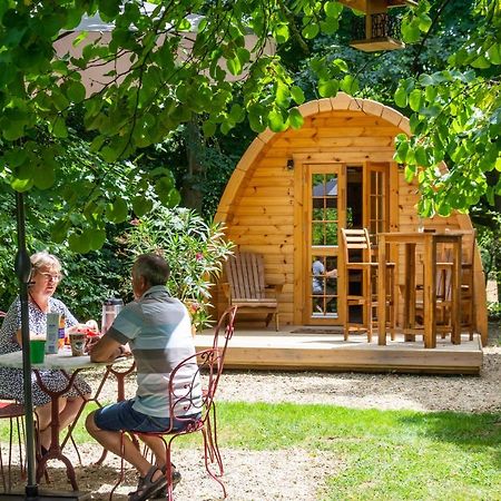 Cabane En Bois Avec Bain Nordique Asnieres-sur-Vegre Buitenkant foto